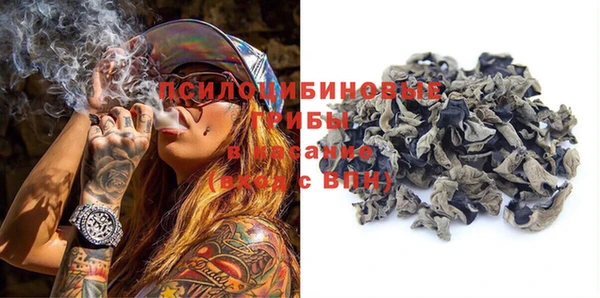 молекула духа Баксан