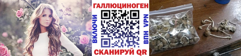 Галлюциногенные грибы Psilocybe  Краснокаменск 