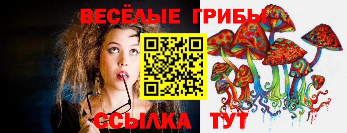 Галлюциногенные грибы MAGIC MUSHROOMS  Вход с VPN  Краснокаменск 