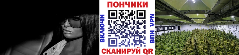 Конопля AK-47  Краснокаменск 
